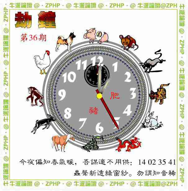 036期牛派单双报[图]