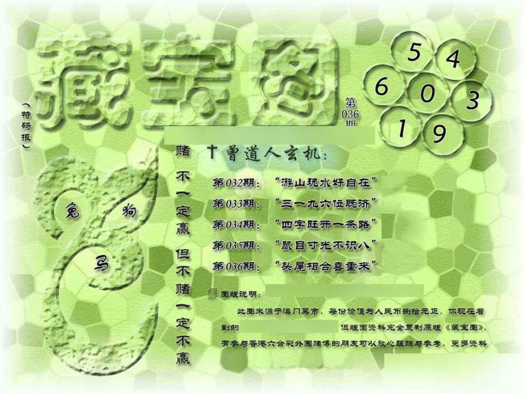 036期假新藏宝图[图]